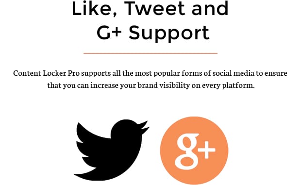 Like, Tweet and G+ Support