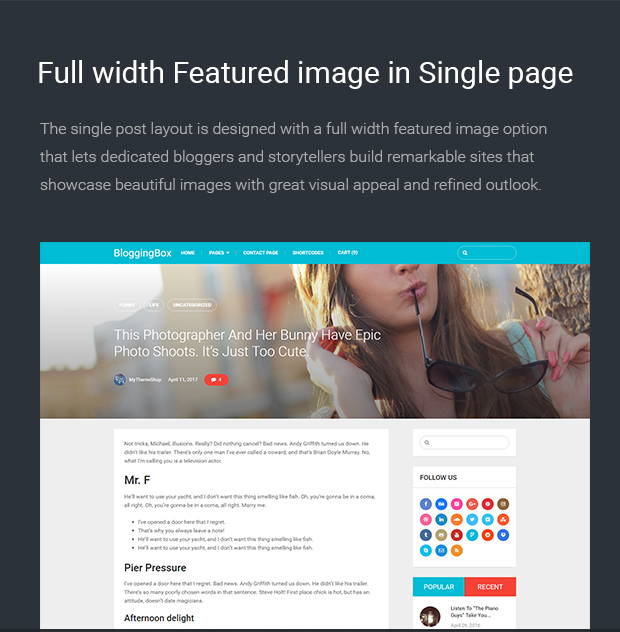 Full width Featured image in Single page