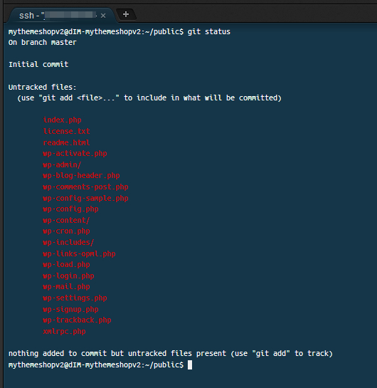 git status