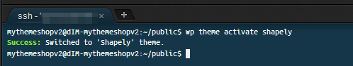 activate theme using WPCLI