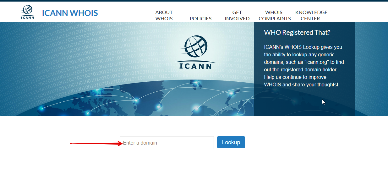 domain name whois data