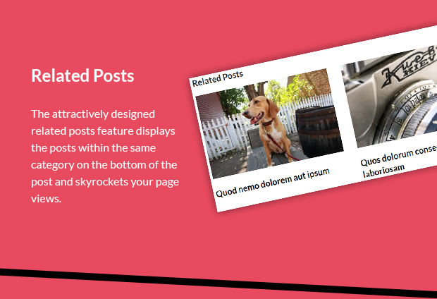 Related Posts