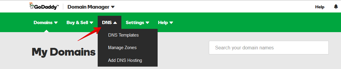 GoDaddy DNS Settings