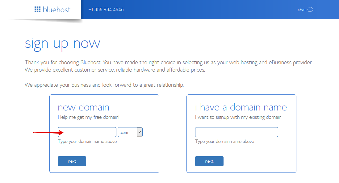 Bluehost Hosting