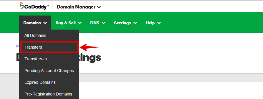 Domain Name Settings
