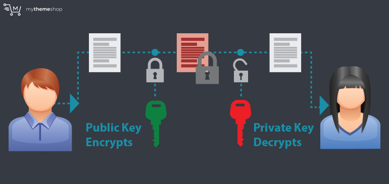 The Ultimate Web Server Security Guide – MyThemeShop