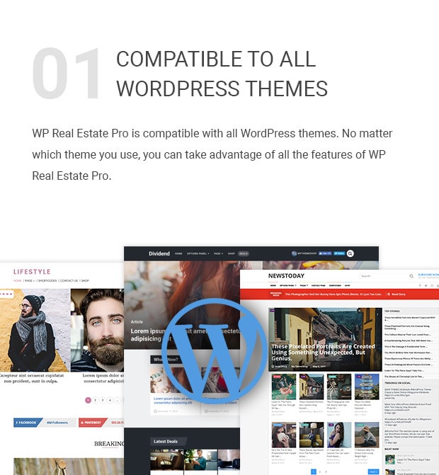 Compatible With All WordPress Themes