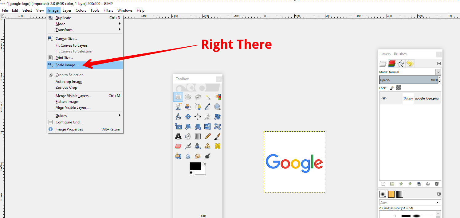 scale images via gimp