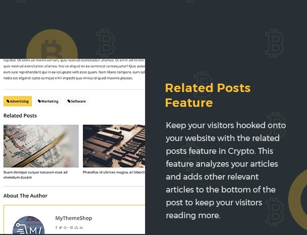 Related Posts Feature