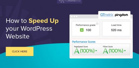 WordPress Speed Optimization
