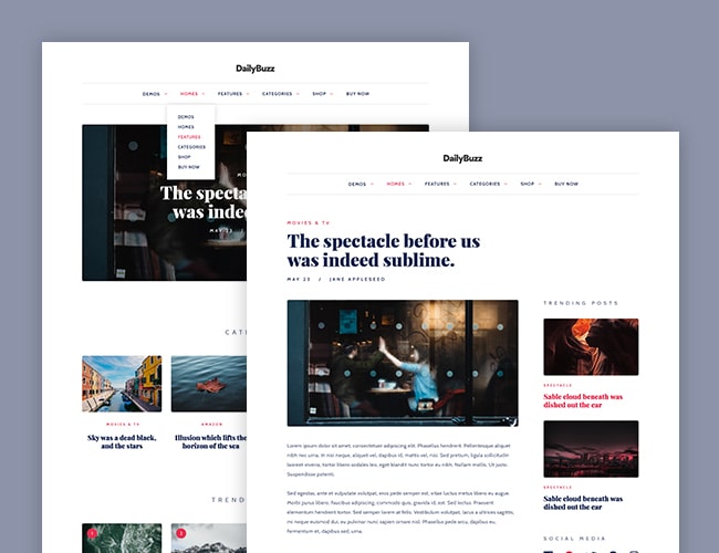 DailyBuzz - lifestyle or magazine WordPress Theme DailyBuzz - lifestyle, magazine WordPress Theme