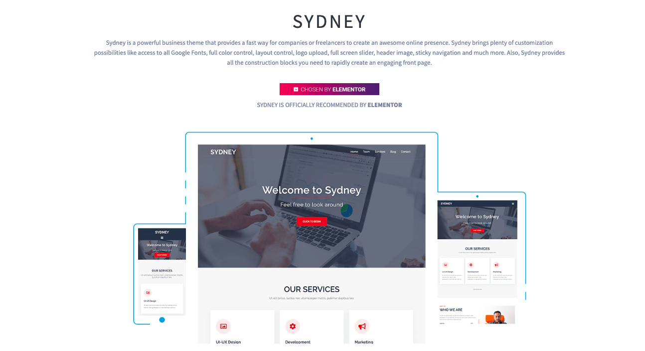 best-elementor-themes-Sydney