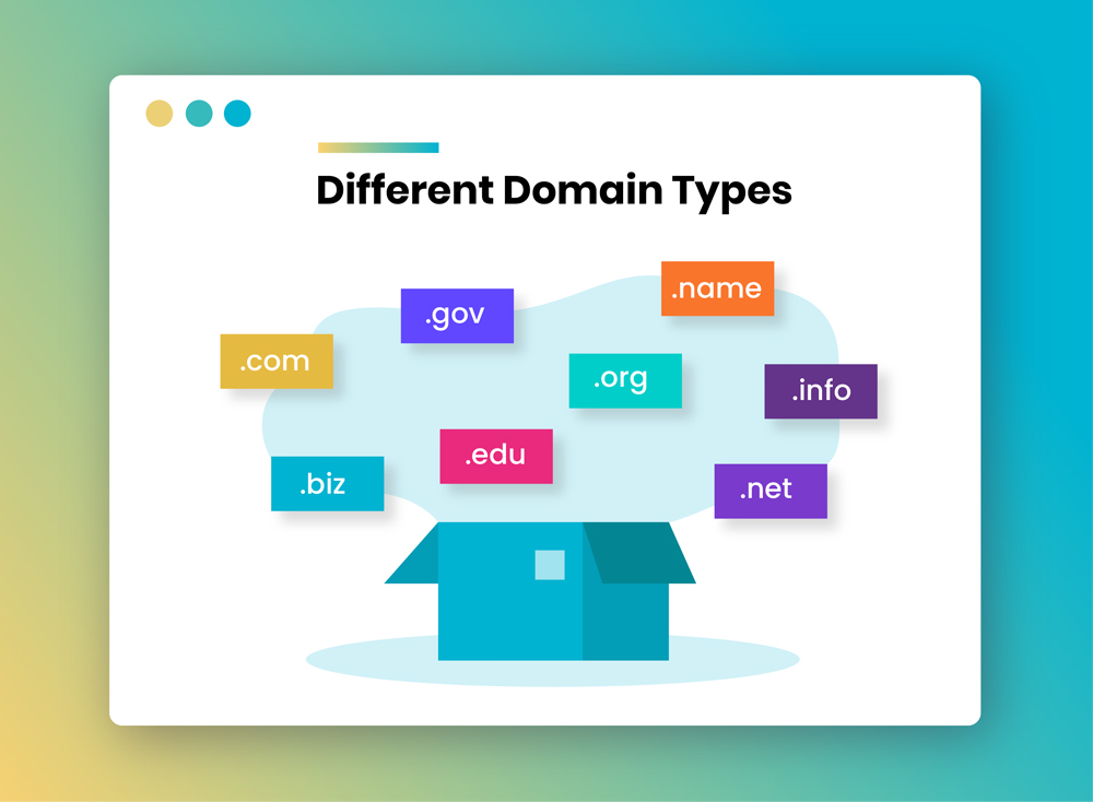 What Is a Domain Type? (Definition, 5 Types and Examples)