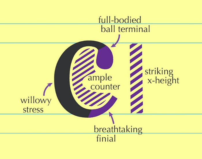 Advanced Typography Options