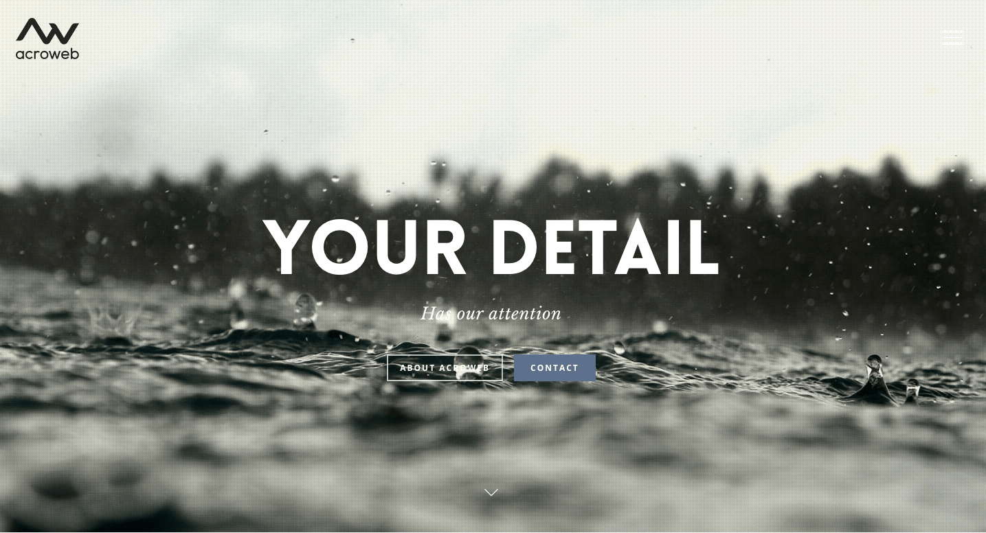 Acroweb website made with Salient WordPress Theme