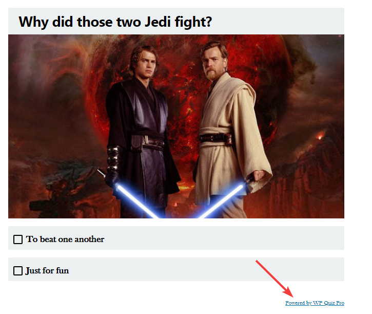 promote-the-plugin-frontend-demo