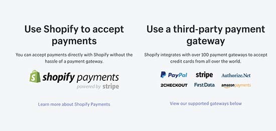 Shopify payment options